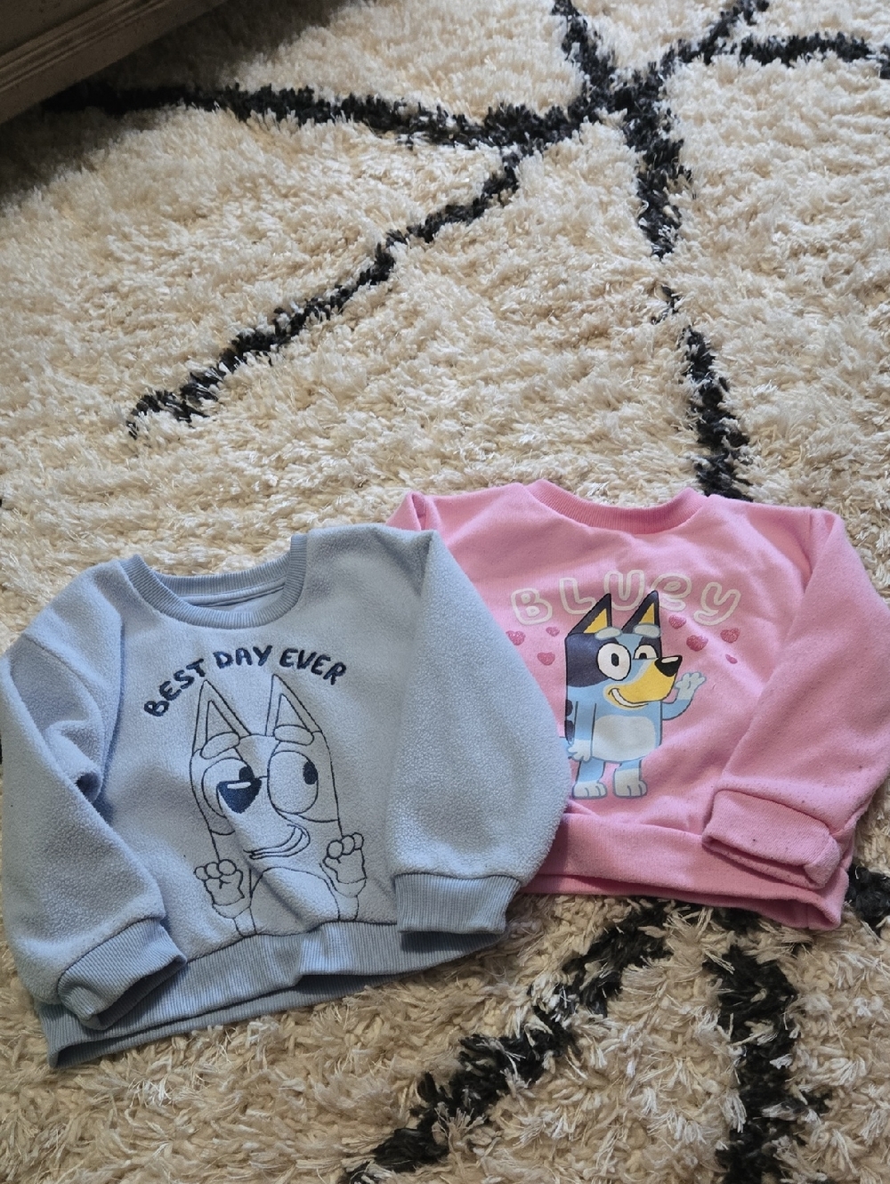 Kids Bluey Sweaters Size 3t